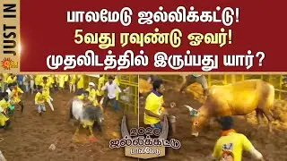 Palamedu Jallikattu -2026 | 5th Round Results  | Bulls | Players | Madurai | Sun News