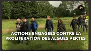 Actions pr&eacute;ventives sur la qualit&eacute; des cours d'eau algues vertes