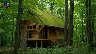 DIY Pallet House With Moss Roof And Cozy Interior
