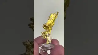 Gold with Little Quartz Mineral Specimen | Fine Art Minerals