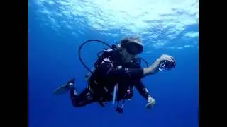 The Wonders of a Deep Dive with the TG4