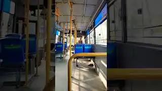 Bus Circle ⭕