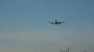 Airbus A330-343  SAS  SE-REH - Landing rw 12 - February 2nd - 2026