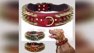 #Cool Spiked Studded Leather Dog Collar Strong Big Dog Collars For Medium Large Dogs Pitbull Bull