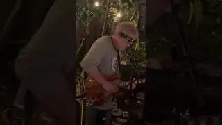 Johnny Too Bad Jimmy Cliff The Slickers Matt Hartle Gold Band 1/4/26 #gratefuldead #jimmycliff #jam