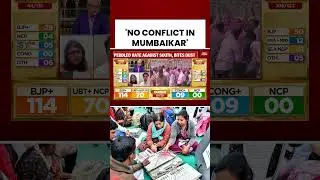 'Mumbaikar's Marathi Pride First' | BMC Elections | Local Polls | BJP #bmc #electionresults #mumbai