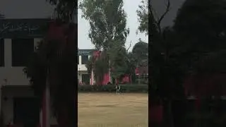 Pick 6🤩 #cricket #highball #hardball #hardballcricket #hardballbatting #hardballmatch