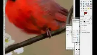 Red Robin Digital Speed Painting