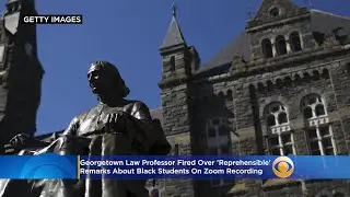 Georgetown Law Professor Sandra Sellers Fired Over 'Reprehensible' Remarks About Black Students On Z