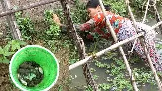 Great Fishing Practices in Your Country Should Be Watched (Part 07)