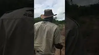 Searching4Sam &bull; Hlane Royal National Park Rhino Drive, Swaziland