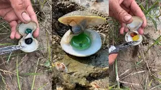 Wonderful day finding beautiful Pearls in the #shorts #clam #pearl #satisfying