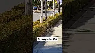 Downtown Sunnyvale, CA #shorts