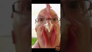 TRY NOT TO LAUGH 13 &ndash; Funniest Memes Compilation 😂🤣
