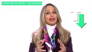 ¿Cuál es la diferencia entre la estructura de capital y la estructura de propiedad de una empresa?