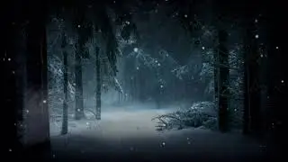 TREES FOREST FOG SNOW WINTER FANTASY STRESS RELIEF RELAXING MEDITATION