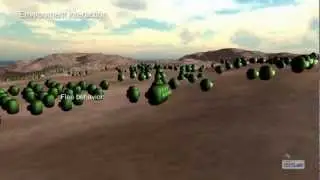 Fantasy crowd