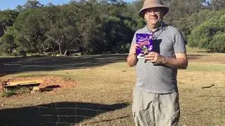 Eating Freddo Frogs on a farm Outside of Perth.