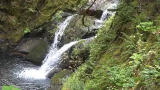 Lower Wolf Creek Falls