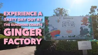 Inside The World's Weirdest Ginger Factory