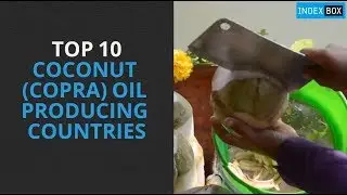 Top 10 Coconut Oil Producing Countries