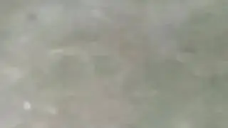 NINJA TURTLE