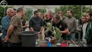 Hellenic Bonsai Club workshop 2019