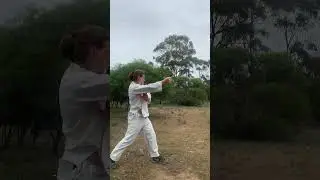 Dai Shu Quan 🥋🦘🤜 Basics closing the gap using  driving elbows & grabs + kangaroo Play 🤜