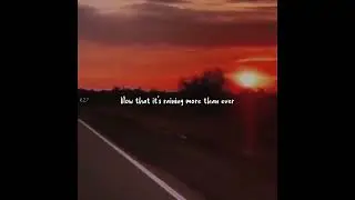 Ember Island - Umbrella Song (lyrics / video) whatsapp status