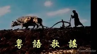 粵語歌謠：牛耕田，馬食穀    一橋