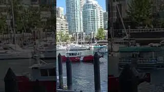 False Creek, Vancouver BC #falsecreek #granvilleisland #vancouver