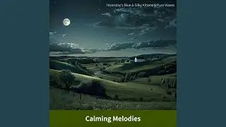 Soothing Grooves (Key Ab Ver.)