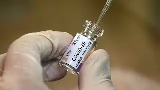 Anti-vaccine movement could hamper fight against COVID-19 cure, experts warn