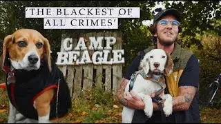 CAMP BEAGLE 'Free The MBR Beagles'