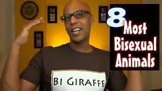 8 Most Bisexual Animals