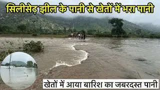 सिलीसेढ़ झील के पानी से खेतों में भरा पानी | Siliserh Lake Alwar | Silised Jheel Overflow 