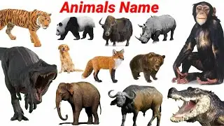 Learn Animals Name with Pictures & Sounds | Animals Video Cow, Dog, Tiger, Gorilla | Education| #Cow
