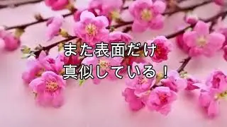 まちがいだらけのきこさん　花博のコメント