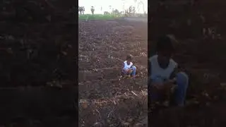 undavalli fields