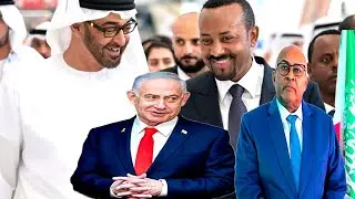 Red Sea geopolitics