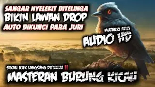 AWAS NYELEKIT‼️MASTERAN SANGAR BIKIN LAWAN DROP LANGSUNG DIKUNCI PARA JURI || MASTERAN BURUNG LOMBA