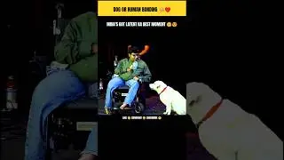 She's so cute 🥹❤️ Dog Human Love Bonding 😍 #dog #shortfeed #viralvideo #cute #indiagotlatent