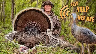 TURKEY HUNTING WISCONSIN! Crazy Hen Vocalizations - Spring 2023