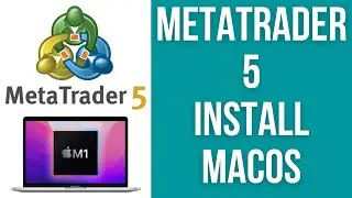 How To Install MetaTrader 5 On Mac macOS