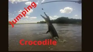 Roadtrip im Norden - Jumping Crocs, Live Bands & Markt