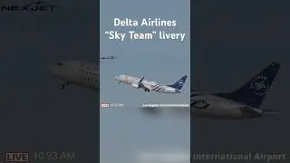 Delta Airlines Boeing 737 &ldquo;Sky Team&rdquo; livery. Los Angeles International Airport. KLAX