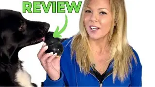 Best KONG - Tough Dog Toy - Fun to Chew, Chase and Fetch | Review & Demo | Big Chewer Dog Approved!