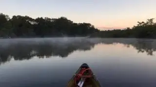 Through the early morning mist