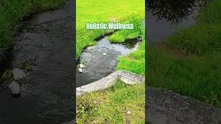 #breathwork #wellnessretreat #virtualretreat #shorts