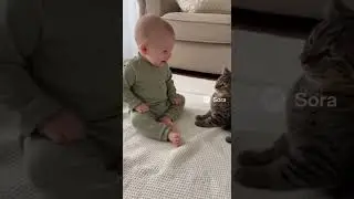 🍼🐈 Baby Laughs When Cat Sneezes Three Times in a Row 😂💨